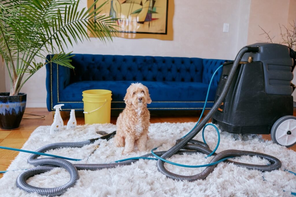 The Hidden Dirt Beneath Your Feet: Why Professional Area Rug Cleaning Services Are Essential